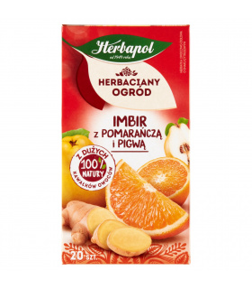 Herbapol Herbaciany Ogród Herbatka owocowo-ziołowa imbir z pomarańczą i pigwą 50 g (20 x 2,5 g)
