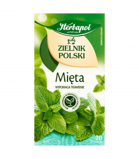 Herbapol Zielnik Polski Herbatka ziołowa mięta 40 g (20 x 2 g)