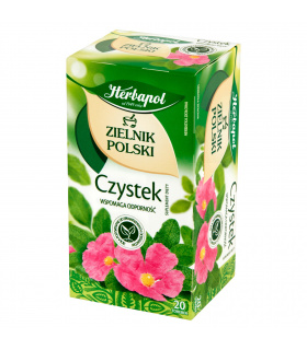 Herbapol Zielnik Polski Suplement diety herbatka ziołowa czystek 40 g (20 x 2 g)