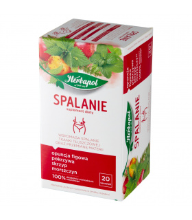 Herbapol Spalanie Suplement diety herbatka ziołowo-owocowa 40 g (20 x 2 g)