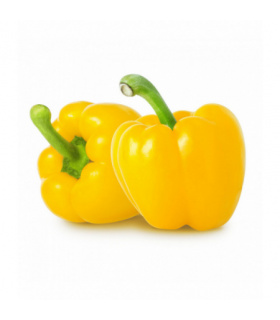 Papryka żółta import kg